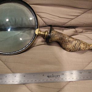 Magnifying glass with horne